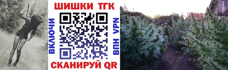 Где купить Черногорск Бошки Шишки Галлюциногенные грибы МЕФ АМФ