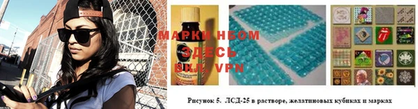 прущие грибы Няндома