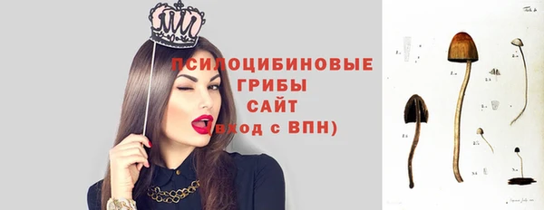 синтетический гашиш Новодвинск