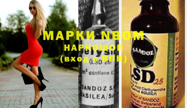 прущие грибы Няндома