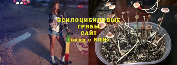 шишки Богданович