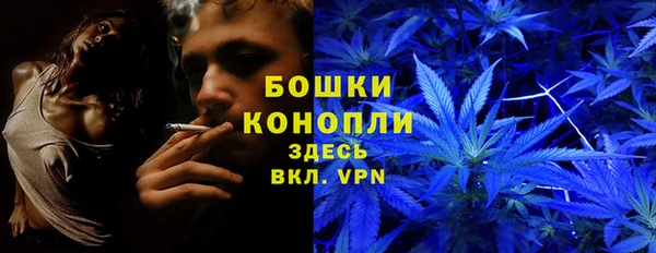 синтетический гашиш Новодвинск