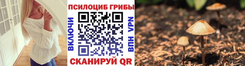 Псилоцибиновые грибы Psilocybine cubensis  KRAKEN tor  Черногорск 