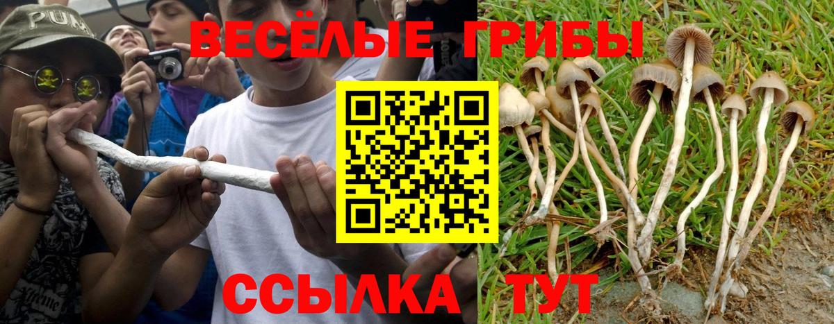 Псилоцибиновые грибы ЛСД  Псилоцибиновые грибы Psilocybine cubensis  Черногорск  Вход с VPN 