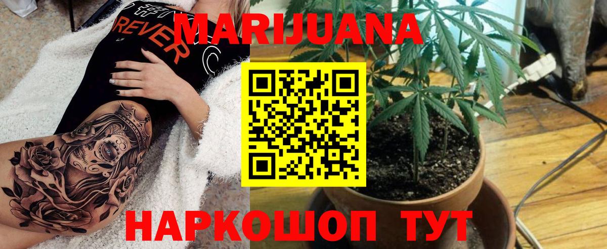 МАРИХУАНА THC 21%  Вход с VPN  Бошки марихуана план  Черногорск  Бошки Шишки тримм 